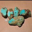 Load image into Gallery viewer, Baja Turquoise Rough RL21