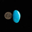 Load image into Gallery viewer, Kingman Arizona Mine Turquoise Cabochon FC-19