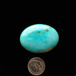Load image into Gallery viewer, Campo Frio Sonora Mine Turquoise Cabochon FC-07