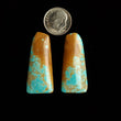 Load image into Gallery viewer, #8 Nevada Mine Turquoise Cabochon Set FC-33