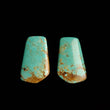Load image into Gallery viewer, #8 Nevada Mine Turquoise Cabochon Set FC-35