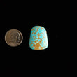 Load image into Gallery viewer, #8 Nevada Mine Turquoise Cabochon FC-40