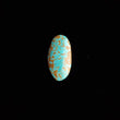 Load image into Gallery viewer, #8 Nevada Mine Turquoise Cabochon FC-41