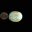 Load image into Gallery viewer, #8 Nevada Mine Turquoise Cabochon FC-45
