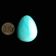 Load image into Gallery viewer, Carmen de Andacollo Chilean Mine Turquoise Cabochon FC-48