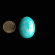 Load image into Gallery viewer, Carmen de Andacollo Chilean Mine Turquoise Cabochon FC-49