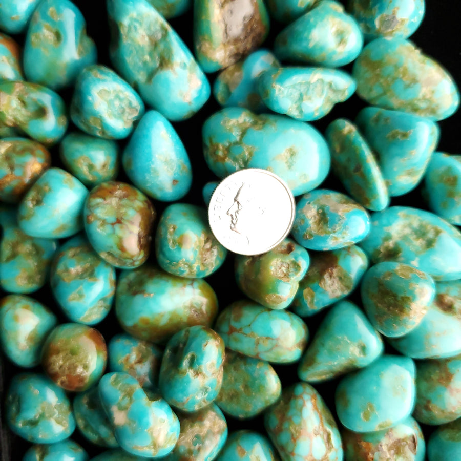 Sonoran River Tumbled & Polished Turquoise Nuggets TP-07