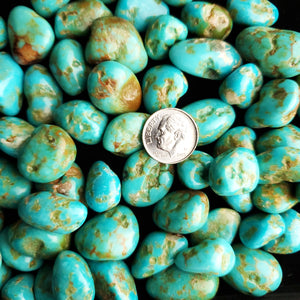 Sonoran River Tumbled & Polished Turquoise Nuggets TP-09