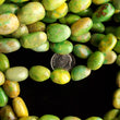 Load image into Gallery viewer, Mojave Green Boulder Turquoise Southwest Graduated Oval Strands NS-04