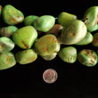 Load image into Gallery viewer, Mojave Green Boulder Turquoise Southwest Jumbo Nugget Strands NS-07
