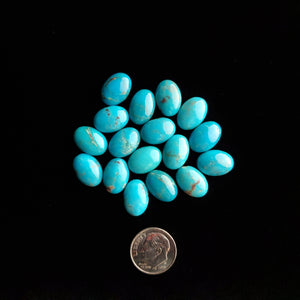 10 x 14 x 5 mm Nacozari Mixed Colors Calibrated Turquoise Cabochons CC-21