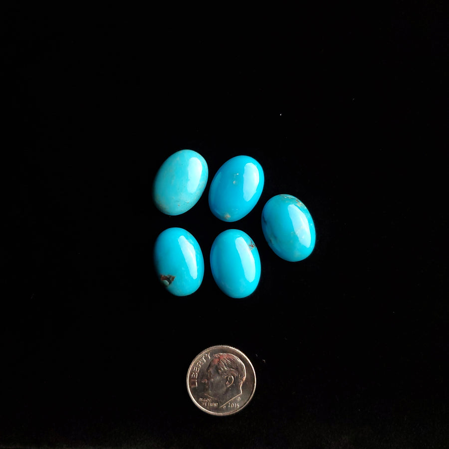 13 x 18 x 5.5 mm Nacozari Mixed Colors Calibrated Turquoise Cabochons CC-25