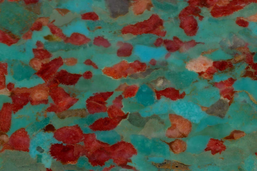 Alisia Turquoise with Red Sponge Coral