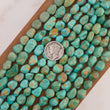 Load image into Gallery viewer, Carmen De Andacollo Turquoise Nugget Strands NS-13-1