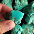 Load and play video in Gallery viewer, Chilean Rough Turquoise Lot RL-04