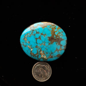 #8  Nevada Mine Turquoise Cabochon FC-02