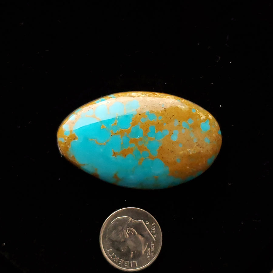 #8 Nevada Mine Turquoise Cabochon FC-06