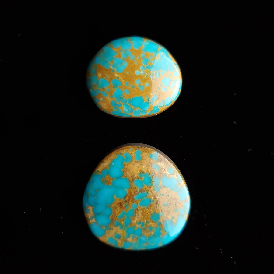 #8 Nevada Mine Turquoise Cabochon Set FC-32