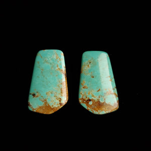 #8 Nevada Mine Turquoise Cabochon Set FC-35