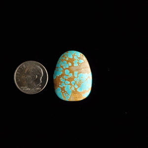 #8 Nevada Mine Turquoise Cabochon FC-38