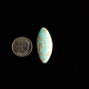 #8 Nevada Mine Turquoise Cabochon FC-39