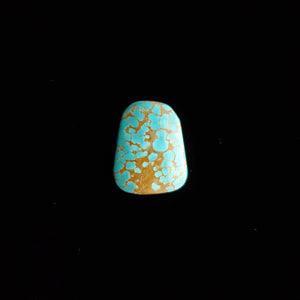 #8 Nevada Mine Turquoise Cabochon FC-40