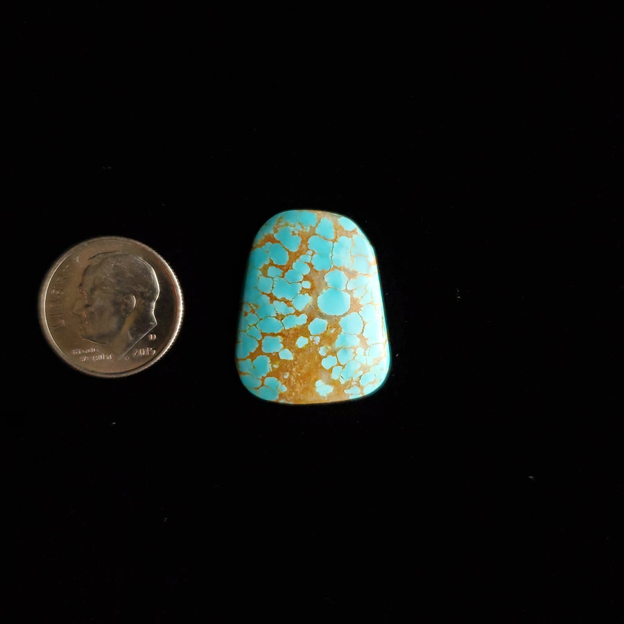 #8 Nevada Mine Turquoise Cabochon FC-40