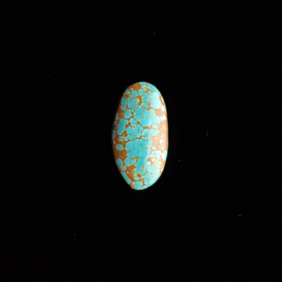 #8 Nevada Mine Turquoise Cabochon FC-41