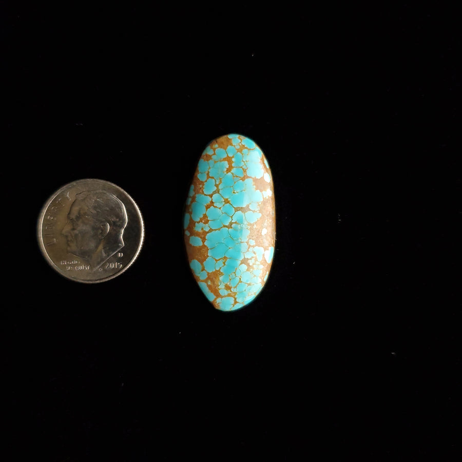 #8 Nevada Mine Turquoise Cabochon FC-41