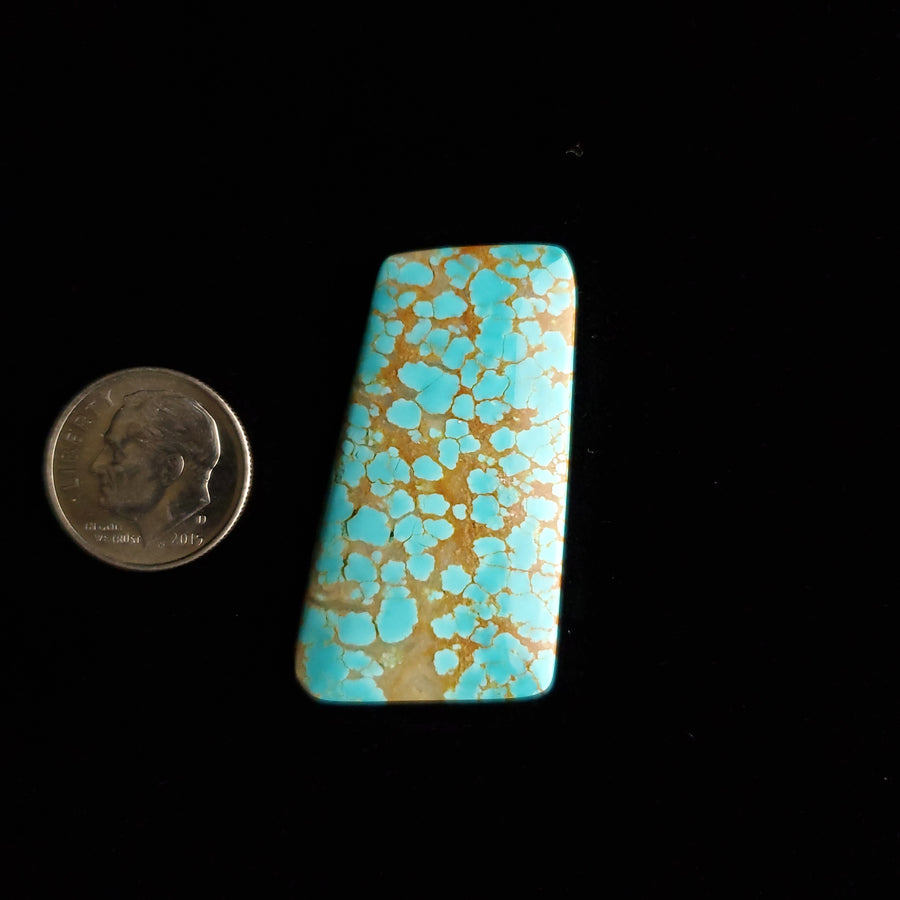 #8 Nevada Mine Turquoise Cabochon FC-43