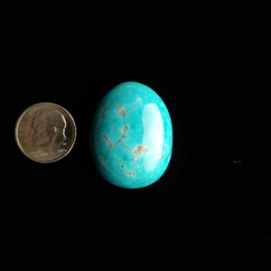 Carmen de Andacollo Chilean Mine Turquoise Cabochon FC-49