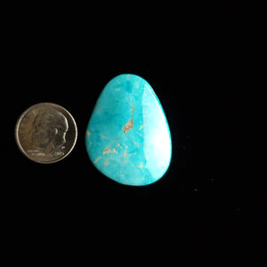 Carmen de Andacollo Chilean Mine Turquoise Cabochon FC-51