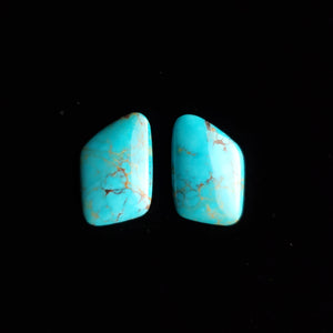 Turquoise Mountain Mine Turquoise Cabochon Set FC-55