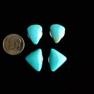 Turquoise Mountain Mine Turquoise Cabochon Set FC-58