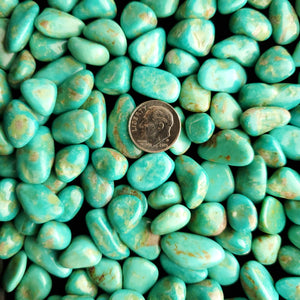 Alamo Tumbled & Polished Turquoise Nuggets TP-01