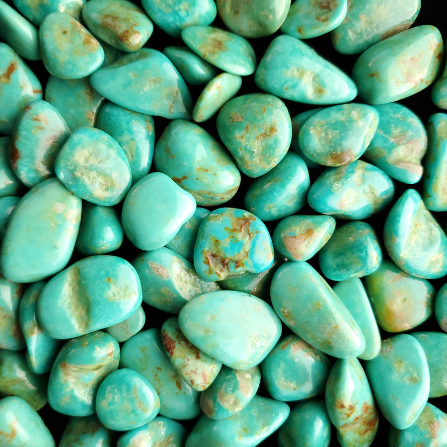 Alamo Tumbled & Polished Turquoise Nuggets TP-02