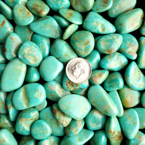 Alamo Tumbled & Polished Turquoise Nuggets TP-02