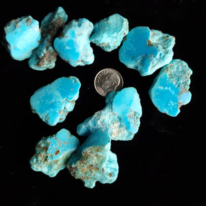 Castle Dome Rough Turquoise Lot RL-03