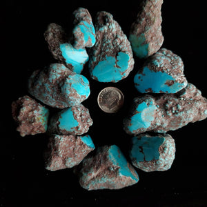 Redskin Rough Turquoise Lot RL-07