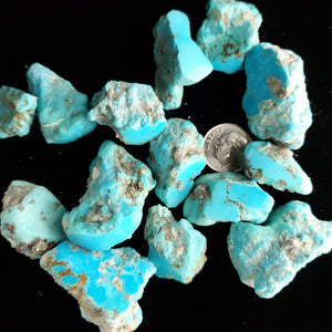 Campitos Blue Turquoise Lot RL-10