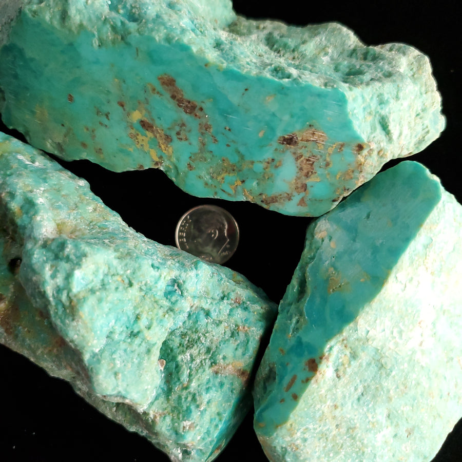 Scorpion Turquoise Lot RL-20