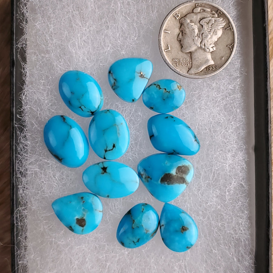 Kingman Turquoise Cabochon Lot